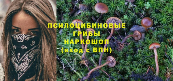 прущая мука Баксан