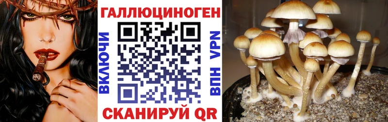 Галлюциногенные грибы ЛСД  Серафимович 
